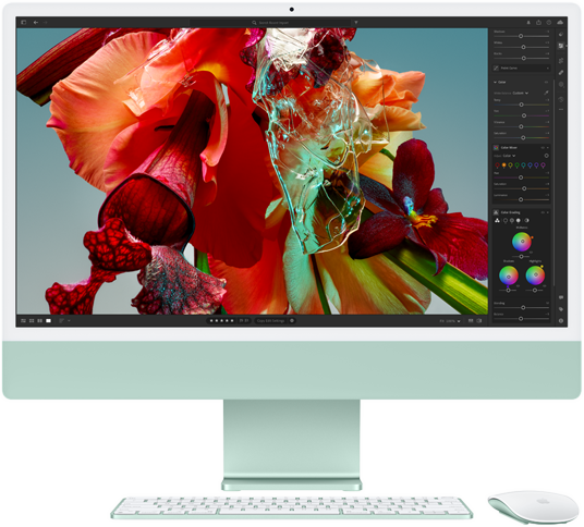 iMac affichant une fleur colorée vue dans Adobe Lightroom pour montrer la gamme de couleurs et la résolution de l'écran Retina 4,5K.