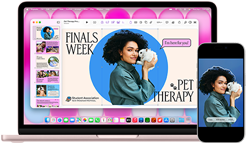 MacBook Neo, rose poudré, à côté d'un iPhone, l'écran du MacBook Neo affiche une présentation intitulée Finals Week Pet Therapy avec la photo d'une personne tenant un lapin, l'écran de l'iPhone affiche la même photo, qui a été transformée en autocollant à utiliser dans la présentation