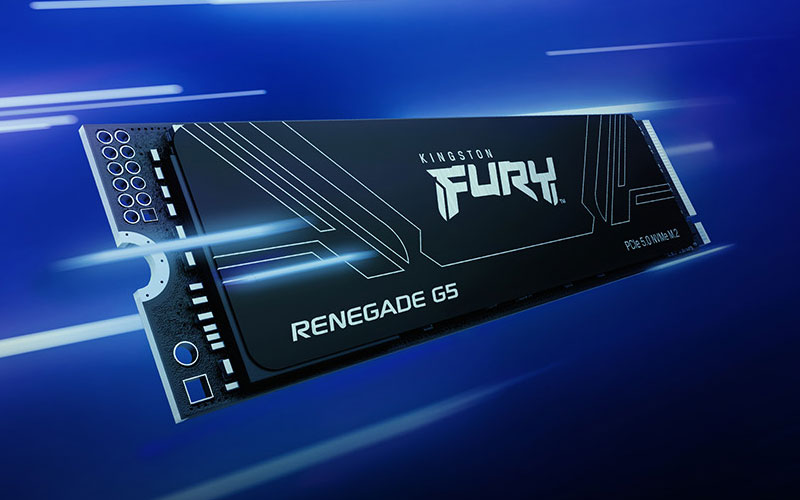 Kingston FURY Renegade G5 2 To 4 kingston fury renegade g5