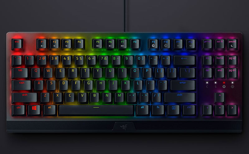 Clavier Gamer Razer BlackWidow V3 TKL - Setup Game