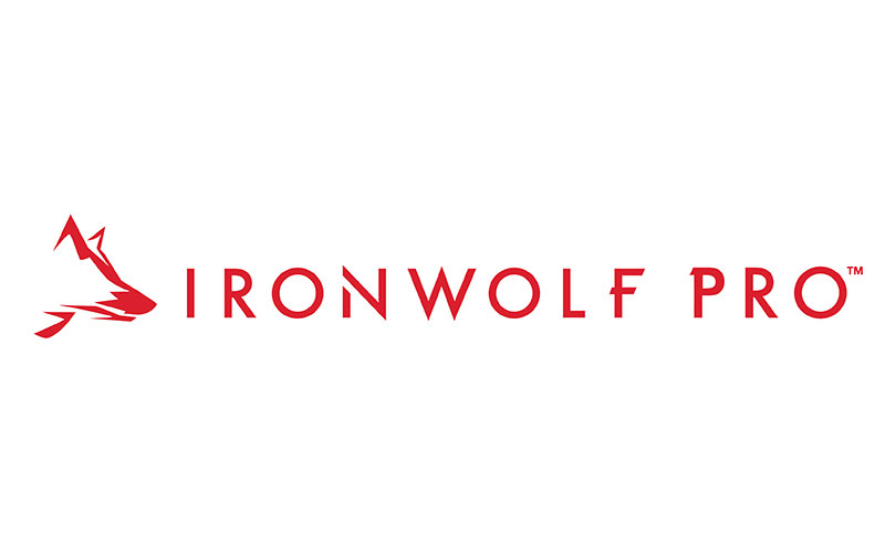 Seagate IronWolf Pro 4 To (ST4000NE0025) : test 2024 et classement des  meilleurs vendeurs