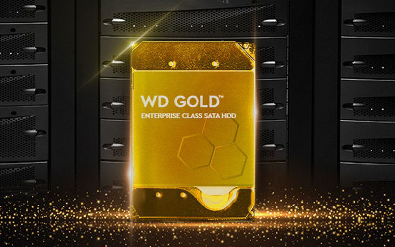 Western Digital Disque dur WD Gold 20 TB 3.5