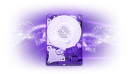 HDD 4To Purple