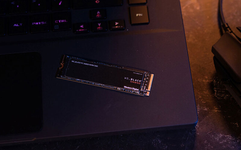 Disque SSD Interne WD_BLACK SN850P avec dissipateur pour PS5 1 To Noir -  SSD internes