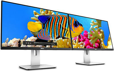 Monitor Ultra HD 4 K Dell P2415Q 24 pulgadas, visualización led-lit, Negro