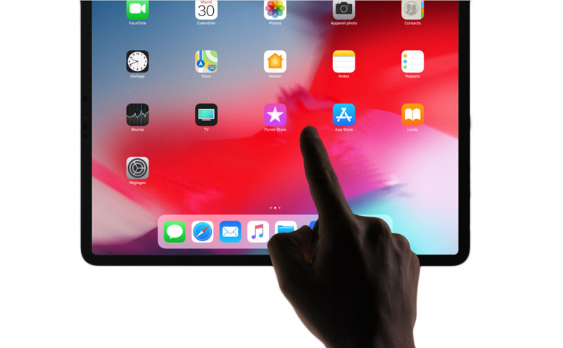 Apple iPad Pro (2021) 11 pouces 256 Go Wi-Fi + Cellular Gris Sidéral -  Tablette tactile - Garantie 3 ans LDLC