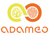 Logo adameo