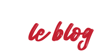 Logo LDLC.pro Le Blog