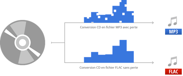 Covertion qualit&eacute; CD | Conversion CD en fichier MP3 avec perte | Convertion CD en fichier FLAC sans perte