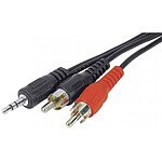 Câble audio Jack 3.5 mm stéréo mâle / 2 RCA mâles (5 mètres)