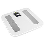 + plugg +bodyscale