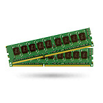 Synology 16 Go (2 x 8 Go) DDR3 ECC 1600 MHz