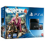 Sony PlayStation 4 + Far Cry 4