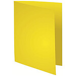 Rainex 100 Chemises Rock's 24 x 32 cm 220 g Citron