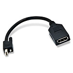 Matrox Câble Mini DisplayPort mâle / DisplayPort femelle