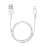 Apple Cable Lightning vers USB 0 5 m
