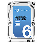Seagate Enterprise NAS HDD 6 To