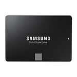 Samsung SSD 750 EVO 250 Go - Lite