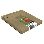 Epson 29XL Multipack Easymail
