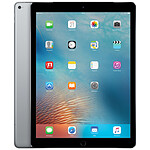 Apple iPad Pro 12.9" Wi-Fi 256 Go Gris Sidéral