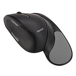 Newtral 2 Wireless Mouse Noir (Medium)