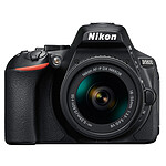 Nikon D5600 + AF-P DX NIKKOR 18-55mm VR