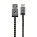 Cabstone Câble Lightning vers USB 2 m
