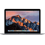 Apple MacBook 12" (2017) Gris sidéral (MNYF2FN/A) - Reconditionné