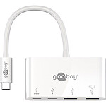 Goobay Adaptateur USB-C / USB 3.0 / USB-C