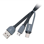 Akasa 2 en 1 USB Tipo C y Micro USB B a USB 2.0 Cable Tipo A