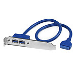 StarTech.com Câble adaptateur USB 3.0 IDC 20 broches vers plaque à 2 ports USB A encastrés