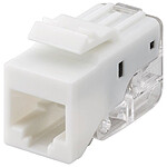 Adattatore LAN RJ45 Femmina-femmina Con Protezione Da Sovratensioni E Parafulmine – Per CAT6/CAT5e, 10Gbps, 500MHz