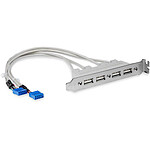 StarTech.com Câble adaptateur USB 2.0 IDC 10 broches vers plaque à 4 ports USB A