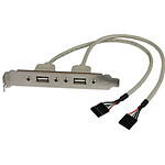 StarTech.com Câble adaptateur USB 2.0 IDC 5 broches vers plaque à 2 ports USB A