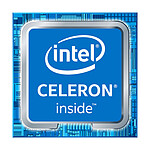 Intel Celeron G4900 (3.1 GHz) (Bulk)