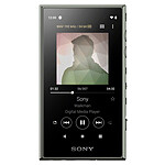 Sony NW-A105 Gris