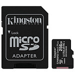 Kingston Canvas Select Plus SDCS2/256GB