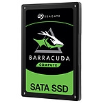 Seagate SSD BarraCuda 120 250 Go (ZA250CM1A003)