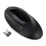Kensignton Pro Fit Wireless Mouse Ergo Negro