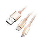 Câble USB-C / USB-A 2.0 Akasa