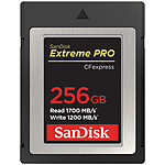 SanDisk Extreme Pro CFexpress Type B 256 Go (SDCFE-256G-GN4IN)