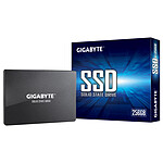 Gigabyte SSD 256 Go