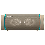 Sony SRS-XB33 Gris