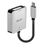 Lindy Adaptateur USB-C / DVI (M/F)
