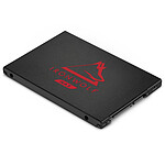 Seagate SSD IronWolf 125 250 Go
