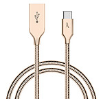 Akashi Câble USB-C Métal Incassable (Or)