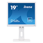 iiyama 19" LED - ProLite B1980D-W1