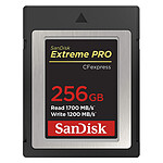 SanDisk Extreme Pro CFexpress Tipo B 256 GB