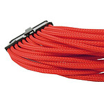 Cable ATX trenzado de gelatina 24 pines 30 cm (Rojo)
