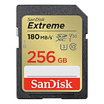 SanDisk Extreme SDXC UHS-I 256 Go